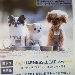 子犬用コーデュラソフトハーネスリード付の画像