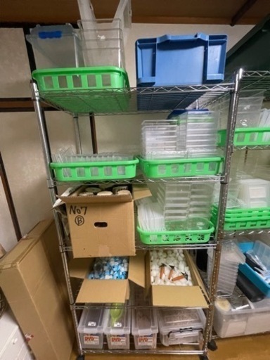 停止中　カブクワ飼育用品多数お得