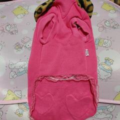 キティーちゃんの画像