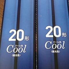 パルック 蛍光灯 20形 2本入り×2個の画像