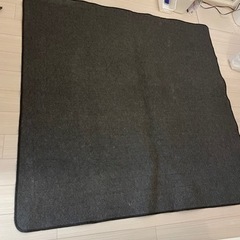 【無印良品】ホットカーペット