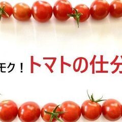 11月1日　スタート予定　青果物の選別・軽量・箱詰め業務　　中央館