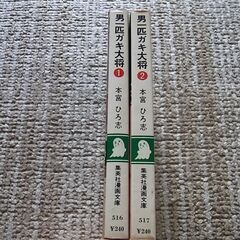 万年雪のみえる家1 2　男一匹ガキ大将1 2　本宮ひろ志　集英社漫画文庫　4冊の画像