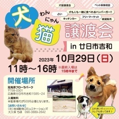 犬猫譲渡会イベント