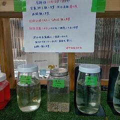 明日いっぱい揃えてます！の画像