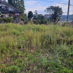 飯山市旭　貸土地	1万円 面積は238.13平米（資材置き場・駐車場等可）JR北飯山駅8分、信濃平駅9分 - 不動産
