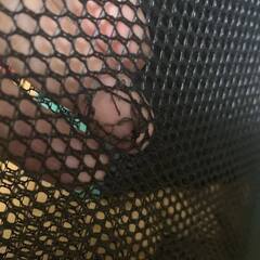 折り畳み　ペットサークルXLの画像