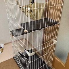 キャットケージ2段の画像