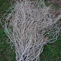 【0円～】農業 害獣避け 害獣ネット 鹿 猿 海苔網