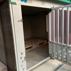 大きい犬小屋(高さ1.2m×幅1.7m×奥行1.9m)
