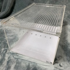 レプタイルボックス⑮
