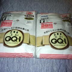 グンゼ 半袖丸首 シャツ２枚組 ＬＬサイズ ２組セット