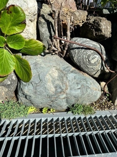 庭石