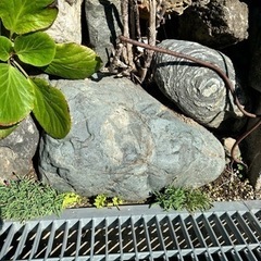 庭石