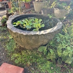 水瓶