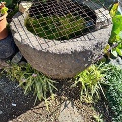 水瓶
