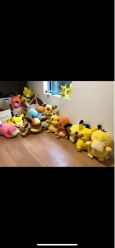 ポケモンぬいぐるみ