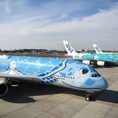 飛行機好きの方お話しから始めませんか？