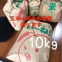 ⭐️新米⭐️農家直送の美味しいお米 令和6年度産 ヒノヒカリ 10キロ