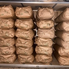 ハツシモの中古が安い！激安で譲ります・無料であげます｜ジモティー