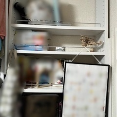 本棚あげます
