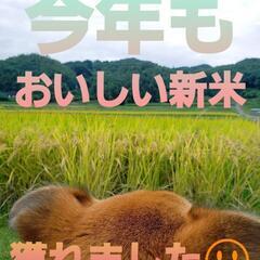 完売御礼(^人^)今年も皆様に感謝☆数量限定☆とれたて！令和５年...