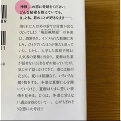 恋愛小説  涙鳴  の画像