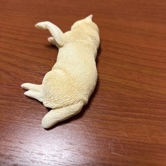 柴犬　豆柴　犬　磁石 かわいい マグネットフック 3D立体デザインの画像