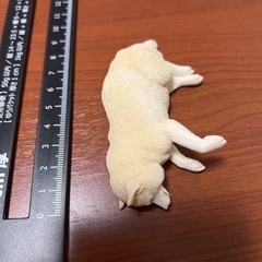柴犬　豆柴　犬　磁石 かわいい マグネットフック 3D立体デザインの画像
