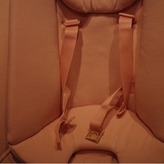 サイベックス　レモバウンサーの画像