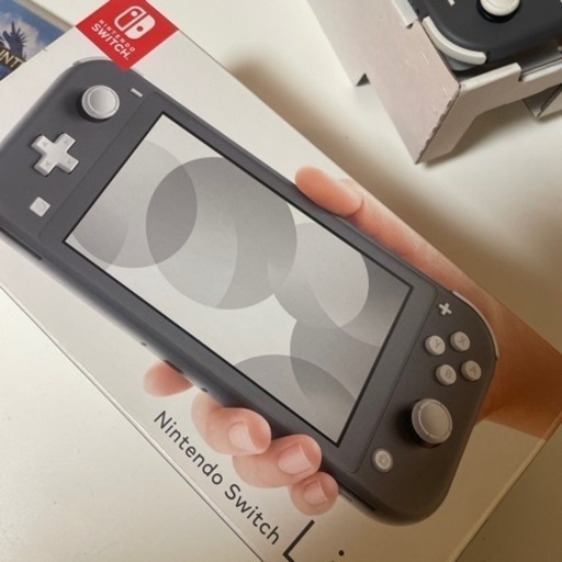 Switchライト美品モンハンセット