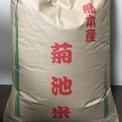 新米◆湧水で育てた菊池米くまさんの輝き✨30kg