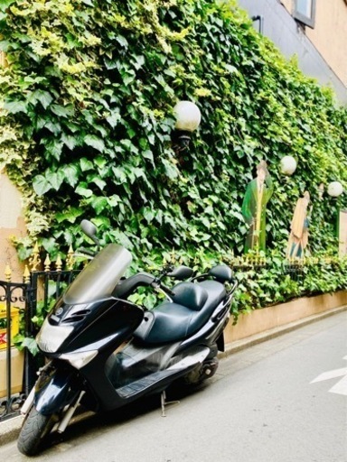 近日終了！マジェスティ125cc