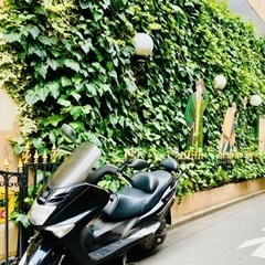 近日終了！マジェスティ125cc