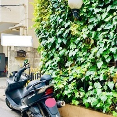 近日終了！マジェスティ125ccの画像