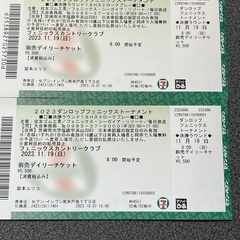 11月19日ダンロップフェニックストーナメントチケット