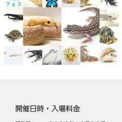 10/22東北ペットフェス開催！の画像