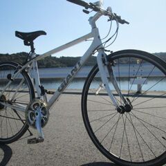 自転車 フラットバーロード or クロスバイク　26 インチ　引...