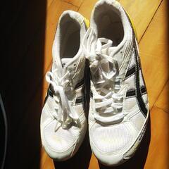 アシックスの陸上用のシューズの画像