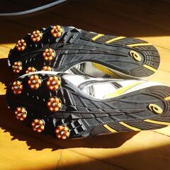 アシックスの陸上用のシューズの画像