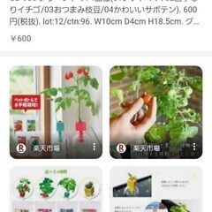 🍅GD-935 グリーントイ プチトマト 未開封品 日本製の画像