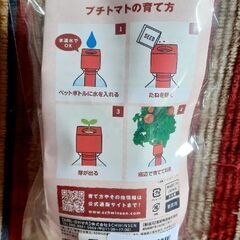 🍅GD-935 グリーントイ プチトマト 未開封品 日本製の画像