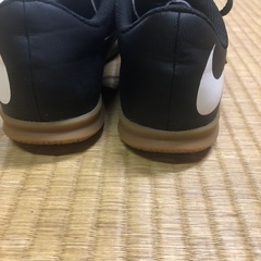 22cmの画像