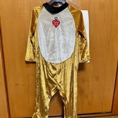 わんちゃん　ハロウィン　ベビー