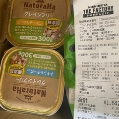 2023.10月報告&随時募集