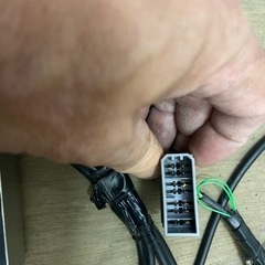 岡ちゃんウォーターテンプの画像