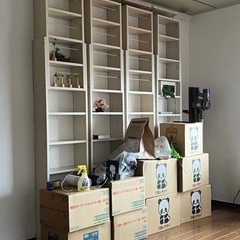 つっぱり棚　本棚　