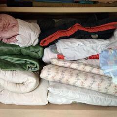 早い者勝ち　寝具セット(布団、毛布、座布団など)