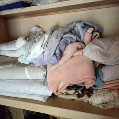 早い者勝ち　寝具セット(布団、毛布、座布団など)の画像