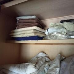 早い者勝ち　寝具セット(布団、毛布、座布団など)の画像